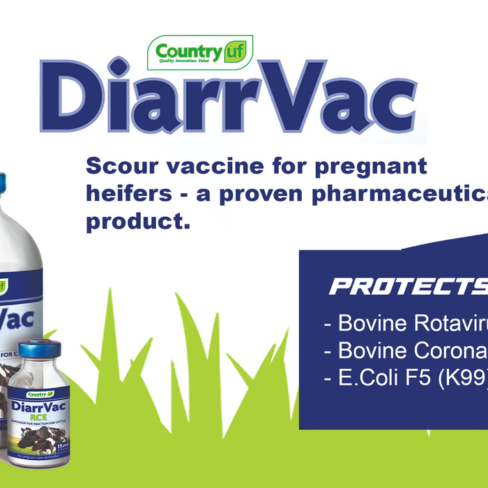 Guard Your Calves Against Scours with DiarrVac