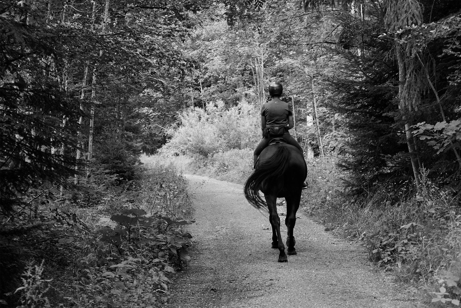 Autumn Riding - Which Hi-Vis When?