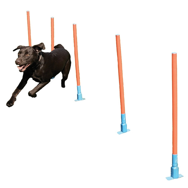 Agility Slalom Poles Pk5