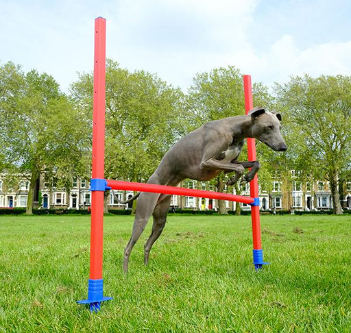 Agility Hurdle Set