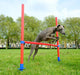 Agility Hurdle Set