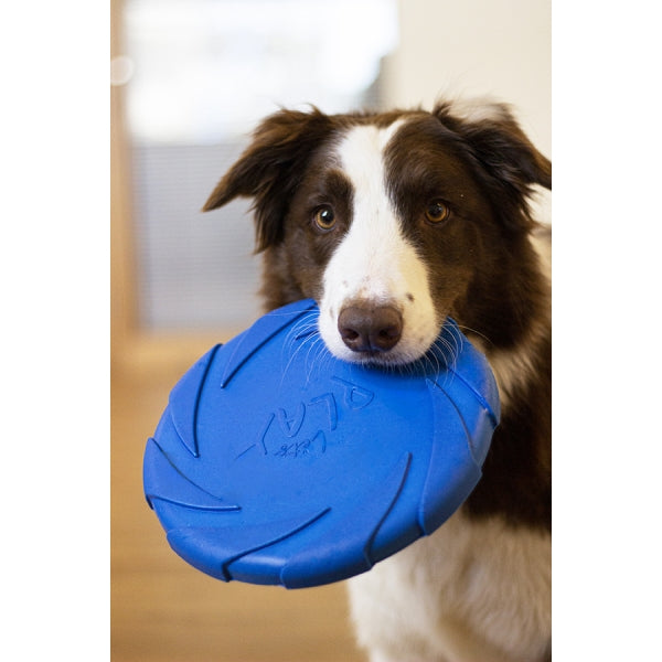 Battersea Foam Frisbee