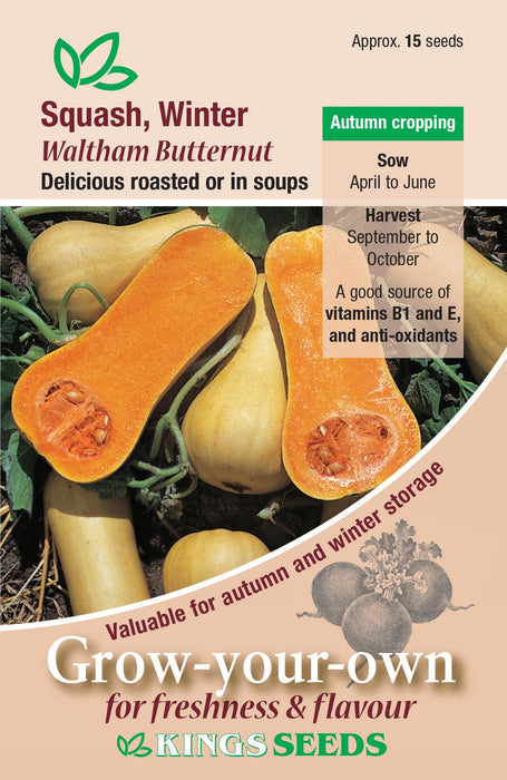 Kings Seeds Squash Winter Butternut Waltham Butternut Seeds