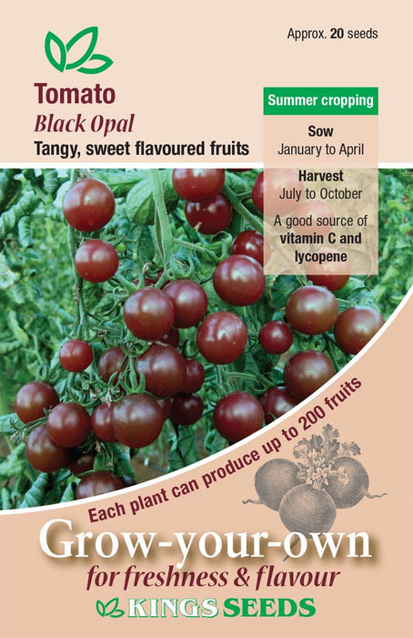 Kings Seeds Tomato Black Opal Seeds