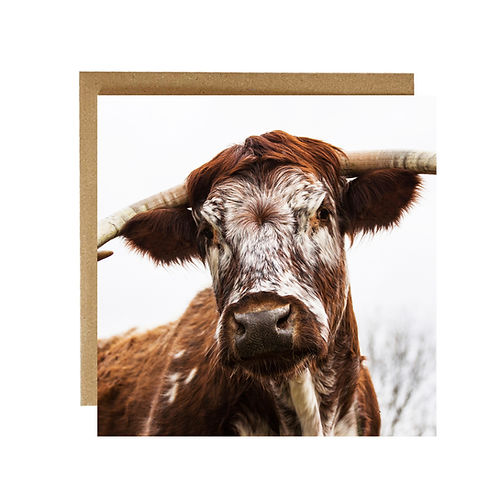 Alex Sharpe Longhorn Cow Card