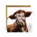 Alex Sharpe Longhorn Cow Card