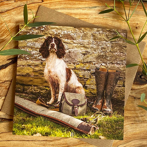 Alex Sharpe Spaniel With Gun Card