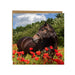 Alex Sharpe Horse In Poppy Field Card