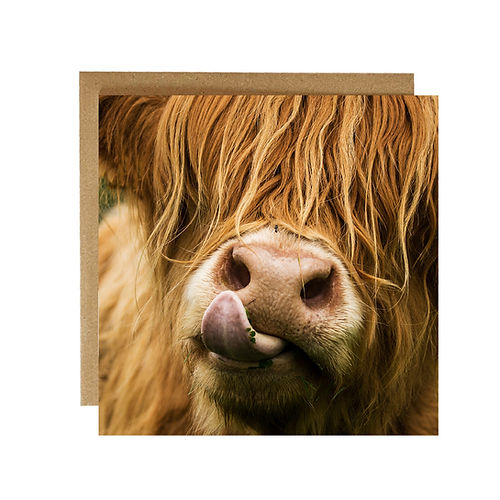 Alex Sharpe Tongue Out Highland Cow Card