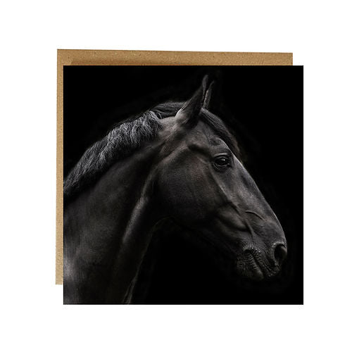 Alex Sharpe Horse On Black Card 023