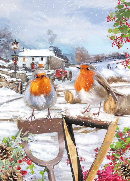 Country Cards Christmas Robins Christmas Card