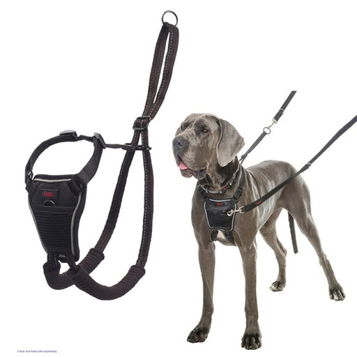 COA Halti No Pull Harness Black