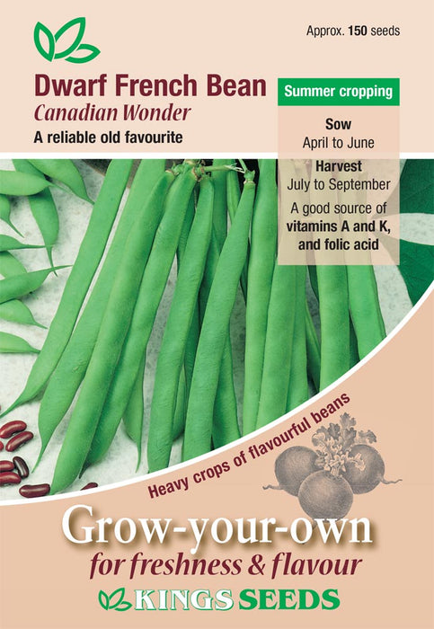 Kings Seeds Dwarf French Bean Canadian Wonder