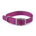 Ancol Buckle Nylon Collar Purple