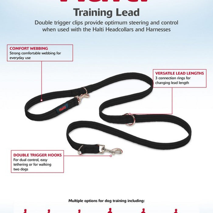 CoA Halti Training Lead Large Black