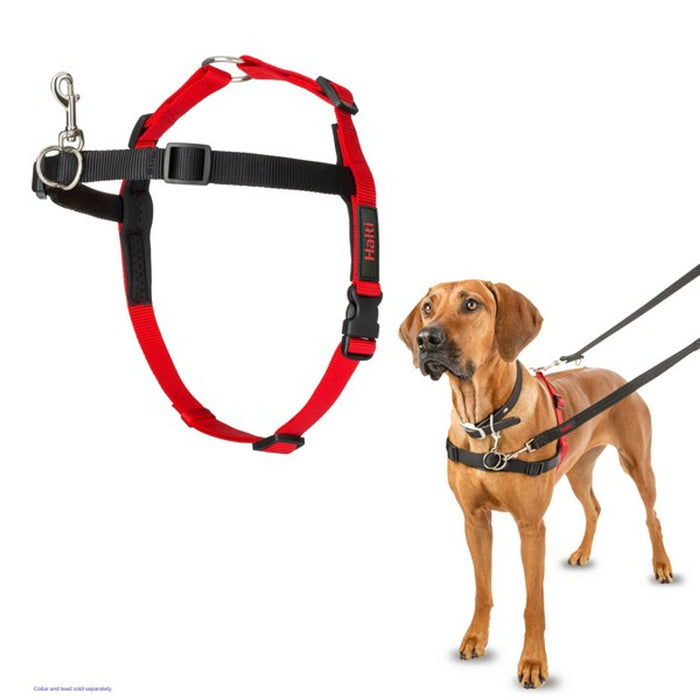 CoA Halti Front Control Harness Black/Red