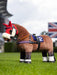 LeMieux TOY Pony Racing Cloth & Elastane Hood