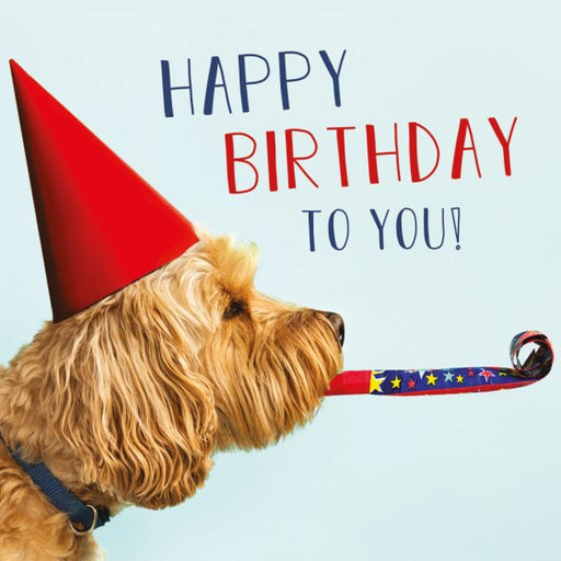 Abacus Birthday Dog Card