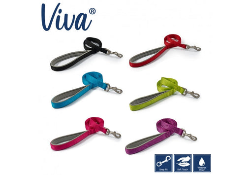 Ancol Viva Padded Dog Lead