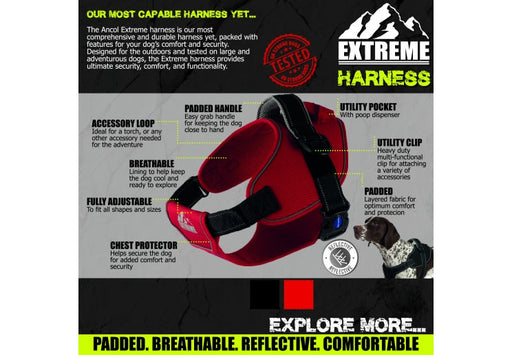 Ancol Extreme Dog Harness