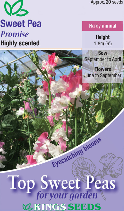 Kings Seeds Sweet Pea Promise