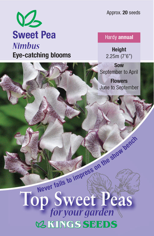 Kings Seeds Sweet Pea Nimbus Seeds