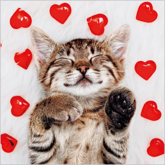 Abacus Cat Hearts Card