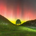 BBC Gardeners World Sycamore Gap Card