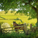 BBC Gardeners World Horse Abney The Peak District Card