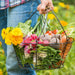 Abacus Garden Harvest Card