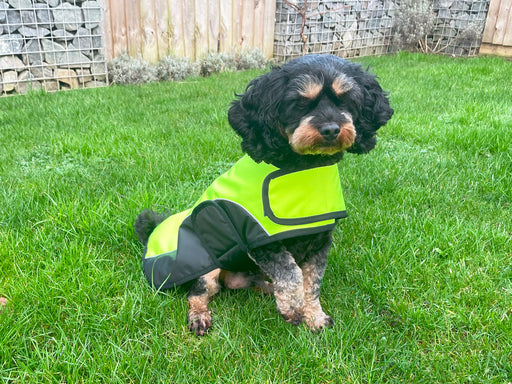 Hi-Vis Dog Jacket Black & Yellow