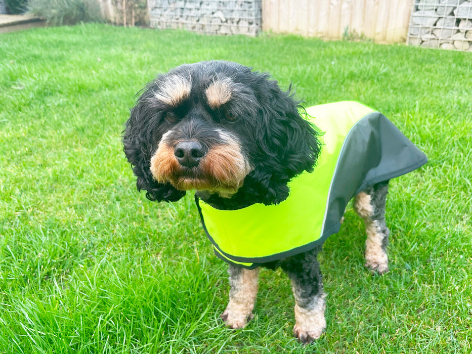 Hi-Vis Dog Jacket Black & Yellow