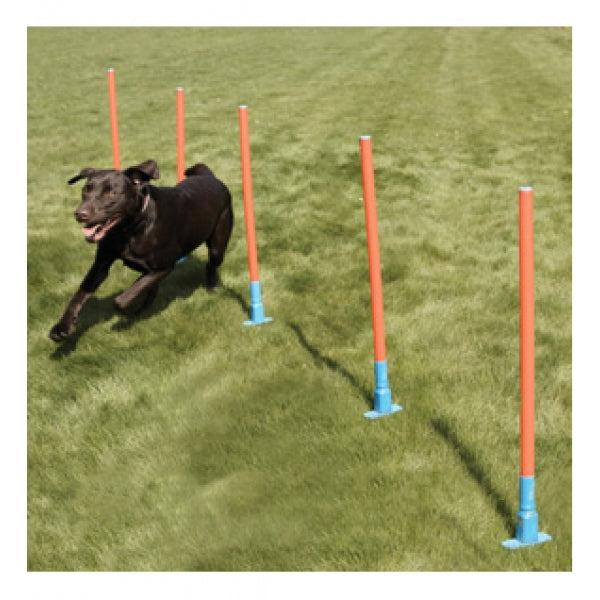 Agility Slalom Poles Pk5