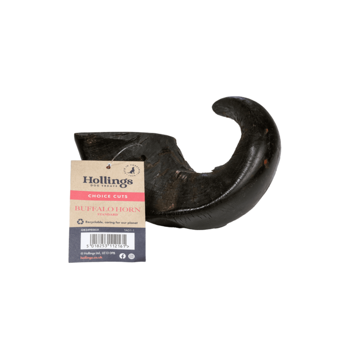 Hollings Buffalo Horn Standard 