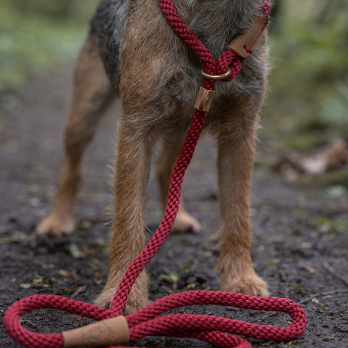 Ruff & Tumble Thick Slip Lead 130cm Rosehip