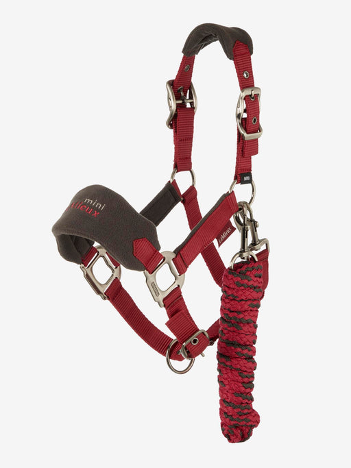 LeMieux Mini Vogue Ember Headcollar+Leadrope