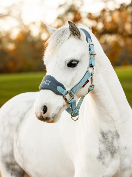 LeMieux Mini Vogue Glacier Headcollar+Leadrope