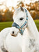 LeMieux Mini Vogue Glacier Headcollar+Leadrope