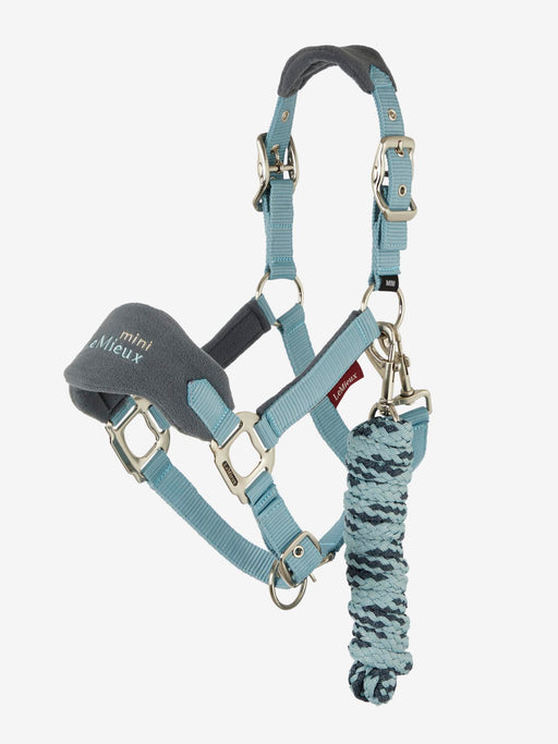 LeMieux Mini Vogue Glacier Headcollar+Leadrope