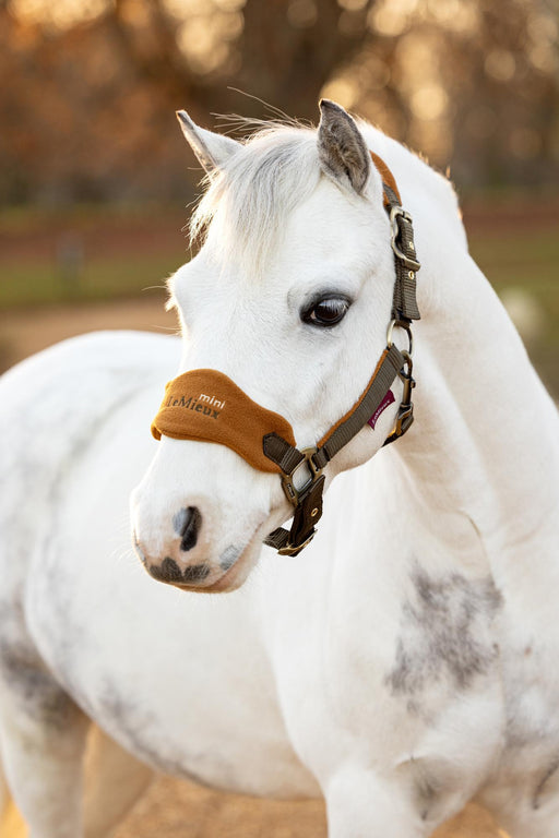 LeMieux Mini Vogue Alpine Headcollar+Leadrope