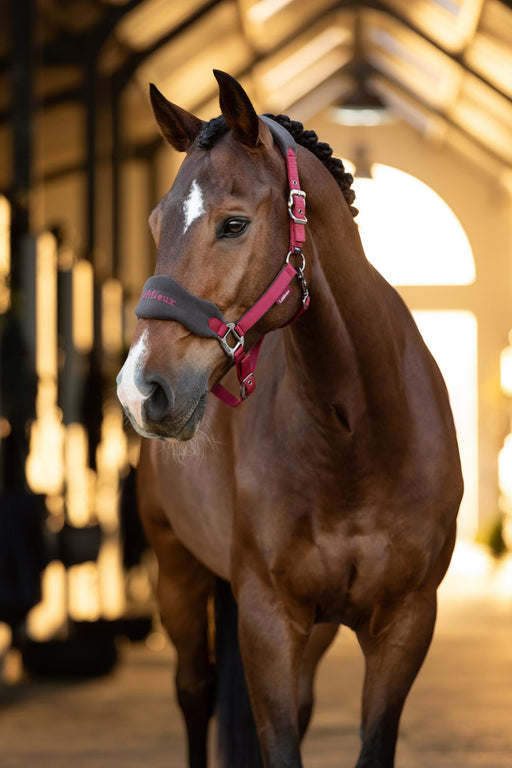 LeMieux Vogue Headcollar & Rope Set Ember