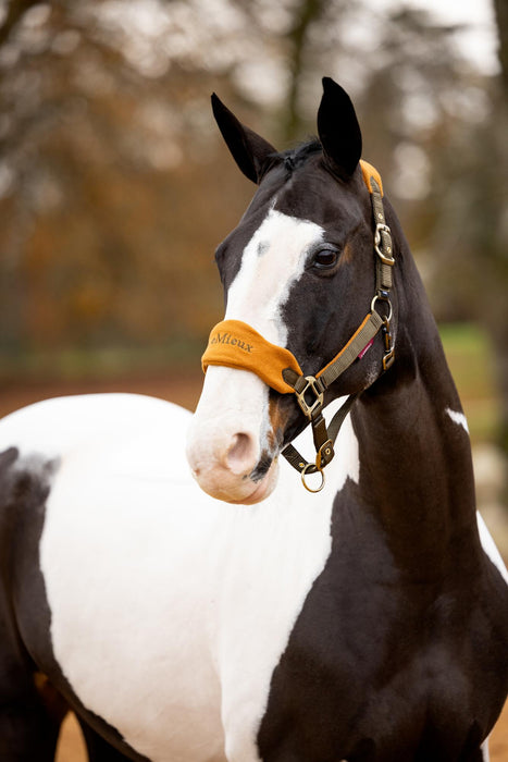 LeMieux Vogue Headcollar & Rope Set Alpine