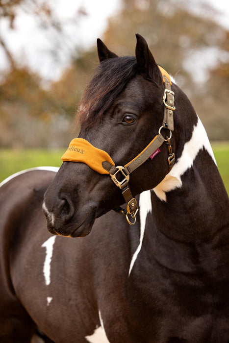 LeMieux Vogue Headcollar & Rope Set Alpine