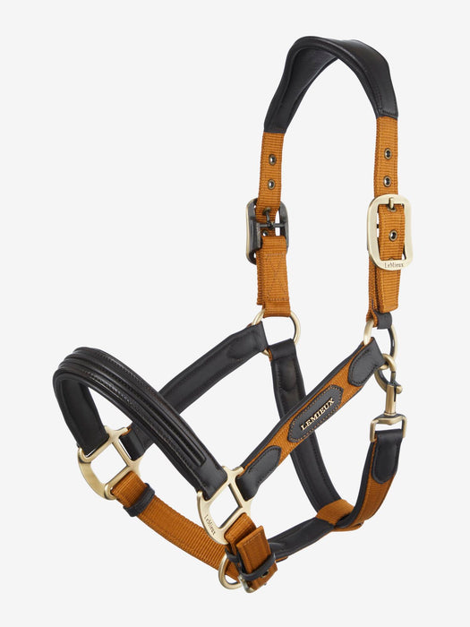 LeMieux Capella Ginger Headcollar