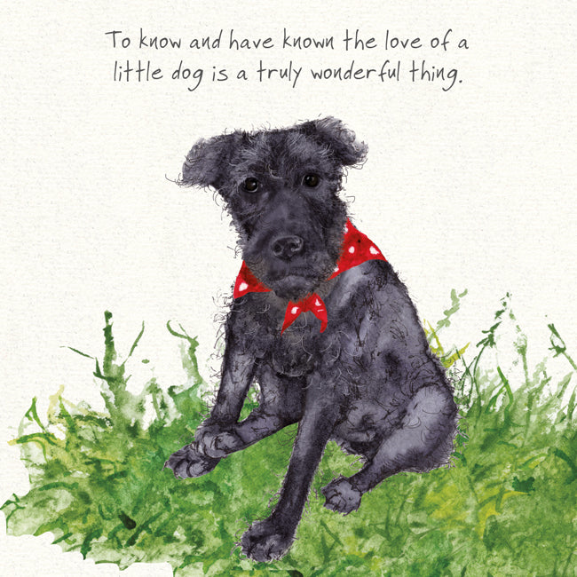 Little Dog Laughed Patterdale Terrier Card