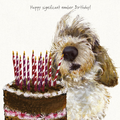 Little Dog Laughed GBGV Dog Birthday Card