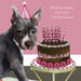 Little Dog Laughed Birthday Staffie Kisses Card