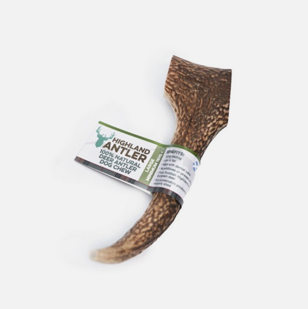 Antos Antler Large