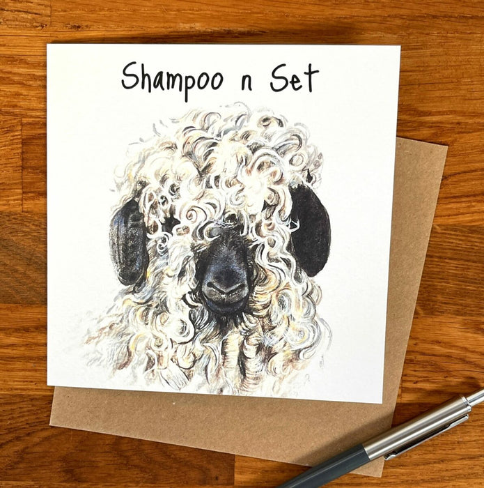 Pankhurst Gallery Shampoo 'n' Set Card