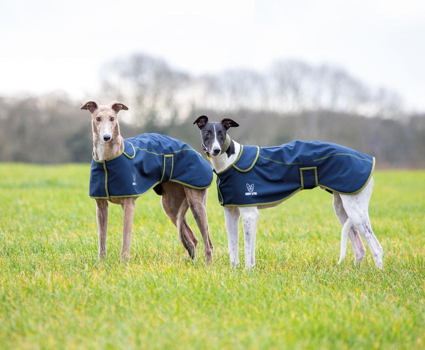 Digby & Fox Softshell Greyhound Coat